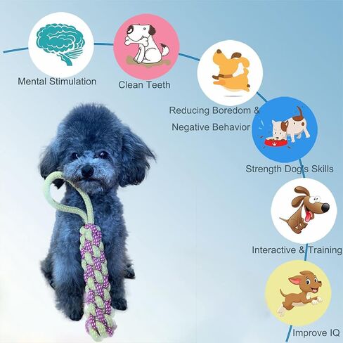 مجموعة ألعاب الكلاب الأليفة متعددة الاستخدامات من أوتكيريج - ألعاب غير قابلة للتدمير لجميع سلالات الكلاب، حبل أسنان عالي التحمل، تفاعلي ومتين، يعزز المضغ وصحة الأسنان in Kuwait