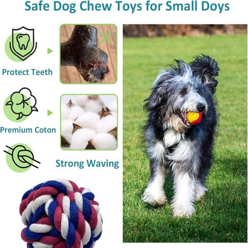 مجموعة ألعاب الكلاب الأليفة متعددة الاستخدامات من أوتكيريج - ألعاب غير قابلة للتدمير لجميع سلالات الكلاب، حبل أسنان عالي التحمل، تفاعلي ومتين، يعزز المضغ وصحة الأسنان in Kuwait