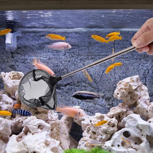 Aquarium Mini Adjustable Mesh Net, Fish Tank Mini Fishes Shrimps Landing Net Adjustable Telescopic Long Handle Small Fish Catcher(Round) in Saudi Arabia