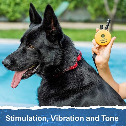 طوق إلكتروني - ET-300-1/2 Mile Remote Trainer Mini Educator طوق تدريب عن بعد - 100 مستوى تدريب بالإضافة إلى الاهتزاز والصوت - يتضمن جهاز نقر تدريب الكلاب من PetsTEK in Saudi Arabia