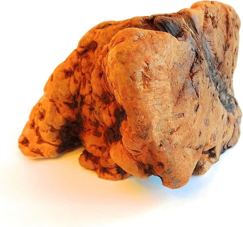 مضغ الجذور - متوسط ​​| مثالية للمضغ العدواني أو التسنين الجرو | لعبة مضغ خشبية فاخرة تدوم طويلاً ومتينة | طبيعي ومهدئ وصحي | عظيم لصحة الأسنان in Kuwait