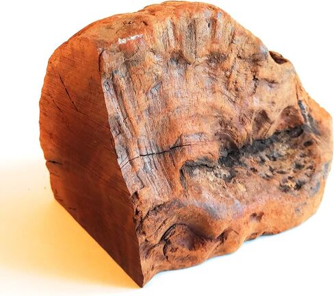 مضغ الجذور - متوسط ​​| مثالية للمضغ العدواني أو التسنين الجرو | لعبة مضغ خشبية فاخرة تدوم طويلاً ومتينة | طبيعي ومهدئ وصحي | عظيم لصحة الأسنان in Kuwait