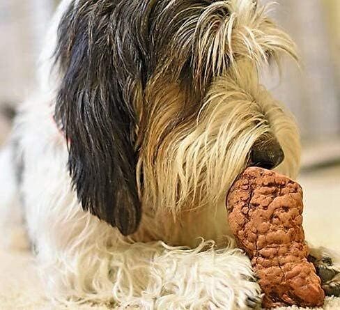 مضغ الجذور - متوسط ​​| مثالية للمضغ العدواني أو التسنين الجرو | لعبة مضغ خشبية فاخرة تدوم طويلاً ومتينة | طبيعي ومهدئ وصحي | عظيم لصحة الأسنان in Kuwait