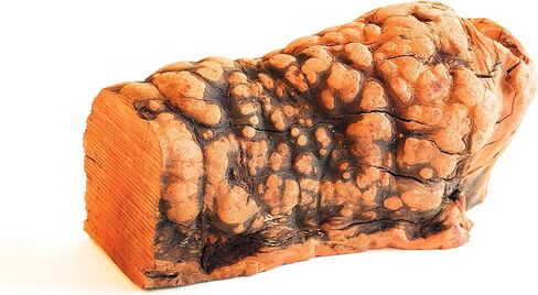 مضغ الجذور - متوسط ​​| مثالية للمضغ العدواني أو التسنين الجرو | لعبة مضغ خشبية فاخرة تدوم طويلاً ومتينة | طبيعي ومهدئ وصحي | عظيم لصحة الأسنان in Kuwait