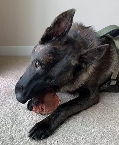 مضغ الجذور - متوسط ​​| مثالية للمضغ العدواني أو التسنين الجرو | لعبة مضغ خشبية فاخرة تدوم طويلاً ومتينة | طبيعي ومهدئ وصحي | عظيم لصحة الأسنان in Kuwait