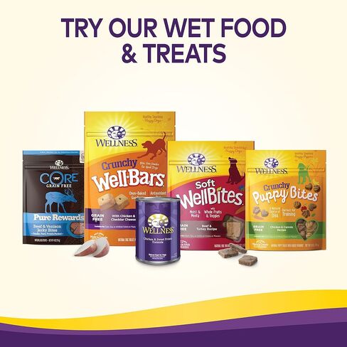 Wellness Complete Health Natural Grain Free Dry Puppy Food in Kuwait