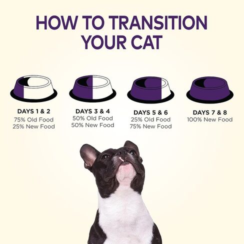 Wellness Complete Health Natural Grain Free Dry Puppy Food in Kuwait