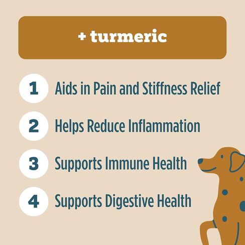 NuttZo MuttZo for Dogs | Natural Peanut and 4-Seed Butter with Turmeric | Dog Treats for Pain, Stiffness, Inflammation, Digestive Health and Immune Support | 12 oz (1 Jar) in Saudi Arabia