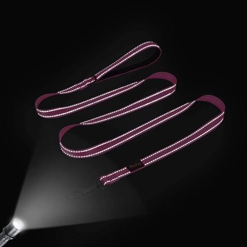 Didog 6FT Reflective Nylon Dog Leash, Durable 1" Wide Walking Pet Lead with Soft Padded Handle & Mesh Dispenser Poop Bag for Small Medium Large Dogs, Hot Pink in Saudi Arabia