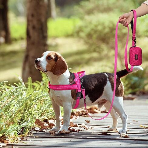 Didog 6FT Reflective Nylon Dog Leash, Durable 1" Wide Walking Pet Lead with Soft Padded Handle & Mesh Dispenser Poop Bag for Small Medium Large Dogs, Hot Pink in Saudi Arabia