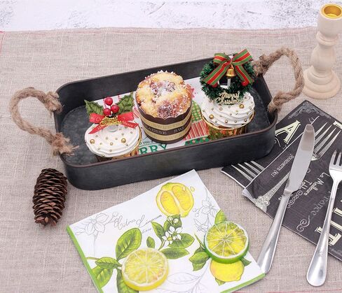 صينية تقديم معدنية مستطيلة الشكل مطلية باللون الأسود المجلفن من Funerom مزودة بلمسة نهائية من الصدأ ومقابض حبل، (10.32 سم × 13.97 سم) in Kuwait