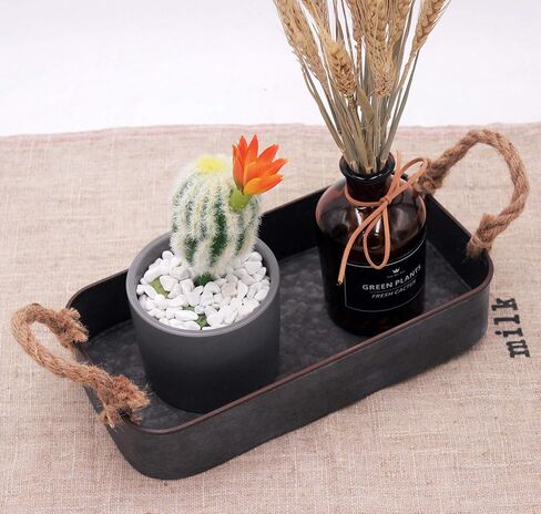 صينية تقديم معدنية مستطيلة الشكل مطلية باللون الأسود المجلفن من Funerom مزودة بلمسة نهائية من الصدأ ومقابض حبل، (10.32 سم × 13.97 سم) in Kuwait