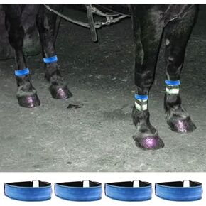 Dnoifne 4 قطع أحذية جرس الحصان in Kuwait