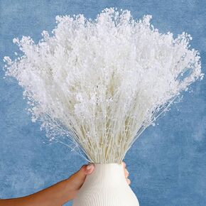 أكثر من 6000 مجموعة من زهور التنفس البيضاء المجففة - 17 بوصة باقة جيبسوفيلا مبيضة (5.64 أونصة)، سيقان زهور جافة طبيعية 100% لديكور الزفاف، قطعة مركزية للطاولة، الحرف اليدوية، حشو المزهرية، إكليل DIY in Kuwait