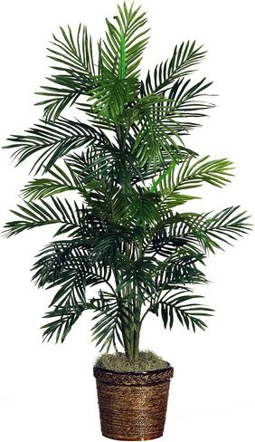 Nearly Natural 5263-0308 56in. Areca Palm Silk Tree with Basket,Green,10" x 10" x 48" and Nearly Natural 6737 4ft. Bamboo with Decorative Planter in Kuwait