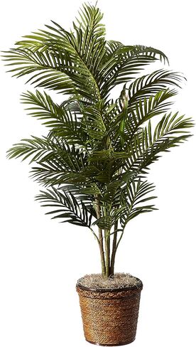 Nearly Natural 5263-0308 56in. Areca Palm Silk Tree with Basket,Green,10" x 10" x 48" and Nearly Natural 6737 4ft. Bamboo with Decorative Planter in Kuwait
