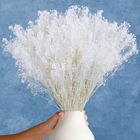 أكثر من 6000 مجموعة من زهور التنفس البيضاء المجففة - 17 بوصة باقة جيبسوفيلا مبيضة (5.64 أونصة)، سيقان زهور جافة طبيعية 100% لديكور الزفاف، قطعة مركزية للطاولة، الحرف اليدوية، حشو المزهرية، إكليل DIY in Kuwait