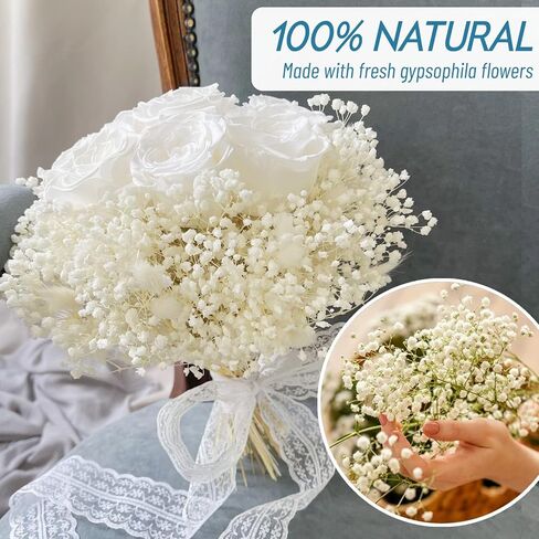 أكثر من 6000 مجموعة من زهور التنفس البيضاء المجففة - 17 بوصة باقة جيبسوفيلا مبيضة (5.64 أونصة)، سيقان زهور جافة طبيعية 100% لديكور الزفاف، قطعة مركزية للطاولة، الحرف اليدوية، حشو المزهرية، إكليل DIY in Kuwait