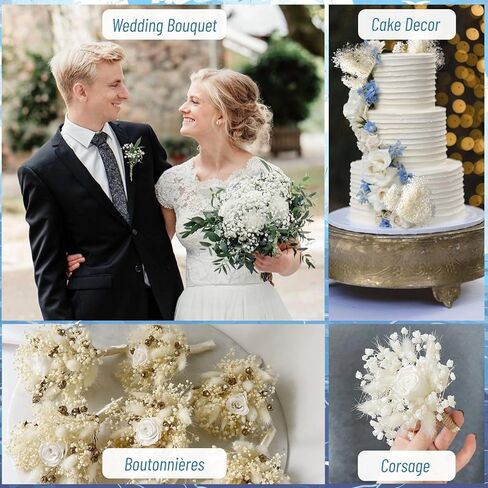 أكثر من 6000 مجموعة من زهور التنفس البيضاء المجففة - 17 بوصة باقة جيبسوفيلا مبيضة (5.64 أونصة)، سيقان زهور جافة طبيعية 100% لديكور الزفاف، قطعة مركزية للطاولة، الحرف اليدوية، حشو المزهرية، إكليل DIY in Kuwait