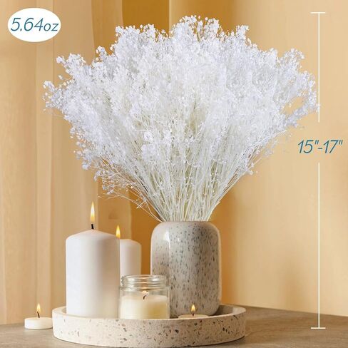 أكثر من 6000 مجموعة من زهور التنفس البيضاء المجففة - 17 بوصة باقة جيبسوفيلا مبيضة (5.64 أونصة)، سيقان زهور جافة طبيعية 100% لديكور الزفاف، قطعة مركزية للطاولة، الحرف اليدوية، حشو المزهرية، إكليل DIY in Kuwait