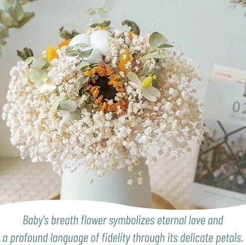 أكثر من 6000 مجموعة من زهور التنفس البيضاء المجففة - 17 بوصة باقة جيبسوفيلا مبيضة (5.64 أونصة)، سيقان زهور جافة طبيعية 100% لديكور الزفاف، قطعة مركزية للطاولة، الحرف اليدوية، حشو المزهرية، إكليل DIY in Kuwait