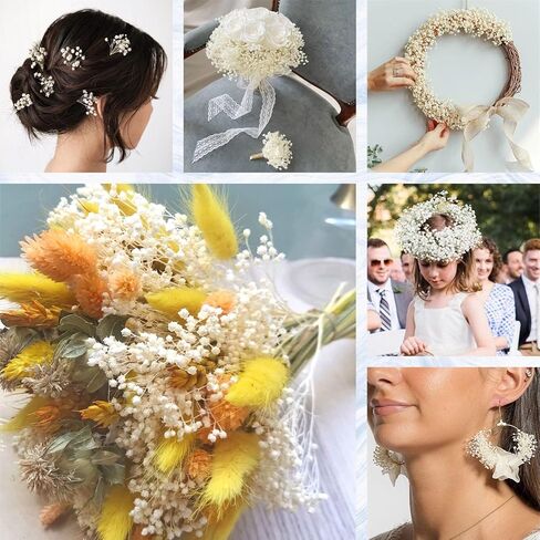 أكثر من 6000 مجموعة من زهور التنفس البيضاء المجففة - 17 بوصة باقة جيبسوفيلا مبيضة (5.64 أونصة)، سيقان زهور جافة طبيعية 100% لديكور الزفاف، قطعة مركزية للطاولة، الحرف اليدوية، حشو المزهرية، إكليل DIY in Kuwait