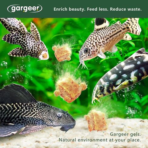 Gargeer 3oz Bottom Dweller Fish Food for Advanced Breeders. Complete Bottom Dweller Gel Diet for Both Juveniles & Adults. Made in The USA Using Premium Ingredients, Ocean Nutrition Gourmet Formula in Saudi Arabia
