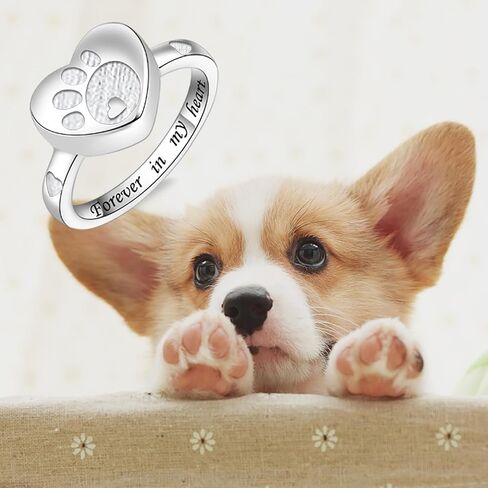 IOHUPCI خاتم الحرق للرماد 925 فضة ديزي جرة خاتم تذكار عقد محبوب الحيوانات الأليفة الكلب القط رماد in Kuwait