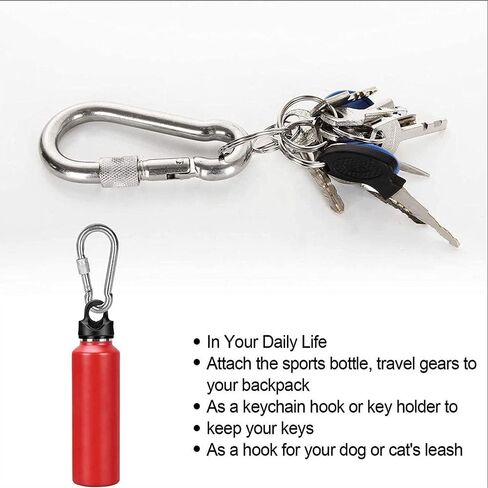 ALINNA 5 قطع 304 الفولاذ المقاوم للصدأ شديد التحمل حلقة معدنية خطافية بإبزيم زنبركي (M6) in Kuwait