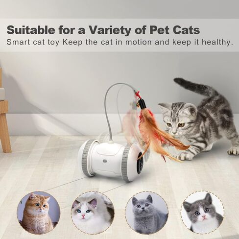 Nueplay Interactive Cat Toys for Indoor Cats, Automatic Cat Toys with LED Light,Smart Electric Cat Toys with 2 Feathers, Pet Exercise Toys, Robotic Cat Toys with 2 Modes USB Charging, Moving Cat Toys in Kuwait