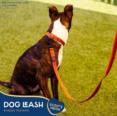 Good Scout Heavy Duty Bungee Leash, Walking & Training Leash for Puppies & Adult Dogs, Blue, Small in Kuwait