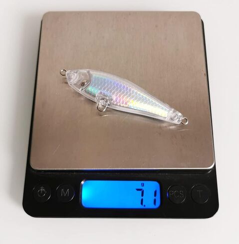 Aneew السائبة 20 قطعة من الفراغات غير المطلية طُعم صيد سمك السلمون المرقط in Kuwait