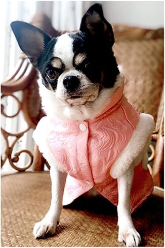 NACOCO Dog Tang Costume Blessing Pet Winter Coat Happy New Year Clothes Qipao Dresses Cat Peony Design Clothes for Schnauzer Teddy French Bulldog (Red Blessing, XS) in Saudi Arabia