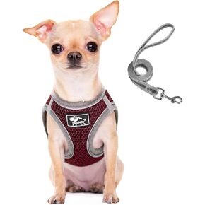 Dog and Cat Universal Harness with Leash - Cat Harness Escape Proof - Adjustable Reflective Step in Dog Harness for Small Dogs Medium Dogs - Soft Mesh Comfort Fit No Pull No Choke