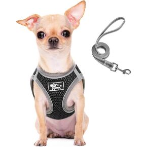 Dog and Cat Universal Harness with Leash - Cat Harness Escape Proof - Adjustable Reflective Step in Dog Harness for Small Dogs Medium Dogs - Soft Mesh Comfort Fit No Pull No Choke