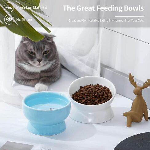 أوعية القطط المرتفعة من السيراميك من أومايكي، أوعية طعام ومياه مرتفعة مائلة للقطط، من البورسلين لحماية أطباق العمود الفقري للحيوانات الأليفة للقطط والكلاب الصغيرة والقطط، أبيض وأزرق، مجموعة من 4 قطع in Kuwait