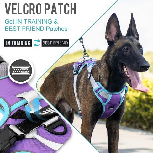 WENDISI عدم سحب الكلب تسخير، عاكس سترة الكلب تسخير مع الأمام والخلف 2 مقاطع المقود، أكسفورد الحيوانات الأليفة تسخير قابل للتعديل لينة مبطن الكلب سترة مع مقبض تحكم سهل للكلاب الصغيرة والمتوسطة الكبيرة in Kuwait