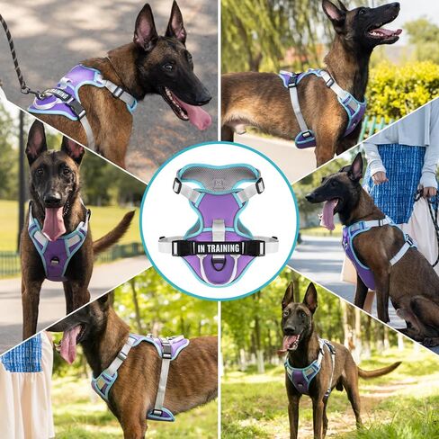 WENDISI عدم سحب الكلب تسخير، عاكس سترة الكلب تسخير مع الأمام والخلف 2 مقاطع المقود، أكسفورد الحيوانات الأليفة تسخير قابل للتعديل لينة مبطن الكلب سترة مع مقبض تحكم سهل للكلاب الصغيرة والمتوسطة الكبيرة in Kuwait
