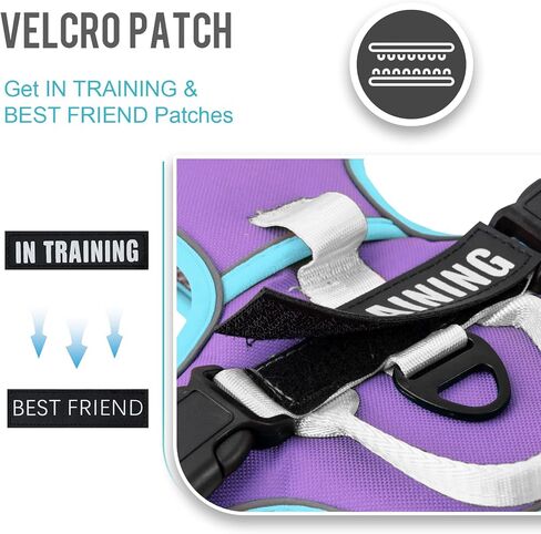 WENDISI عدم سحب الكلب تسخير، عاكس سترة الكلب تسخير مع الأمام والخلف 2 مقاطع المقود، أكسفورد الحيوانات الأليفة تسخير قابل للتعديل لينة مبطن الكلب سترة مع مقبض تحكم سهل للكلاب الصغيرة والمتوسطة الكبيرة in Kuwait