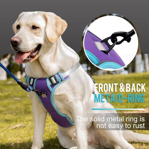 WENDISI عدم سحب الكلب تسخير، عاكس سترة الكلب تسخير مع الأمام والخلف 2 مقاطع المقود، أكسفورد الحيوانات الأليفة تسخير قابل للتعديل لينة مبطن الكلب سترة مع مقبض تحكم سهل للكلاب الصغيرة والمتوسطة الكبيرة in Kuwait