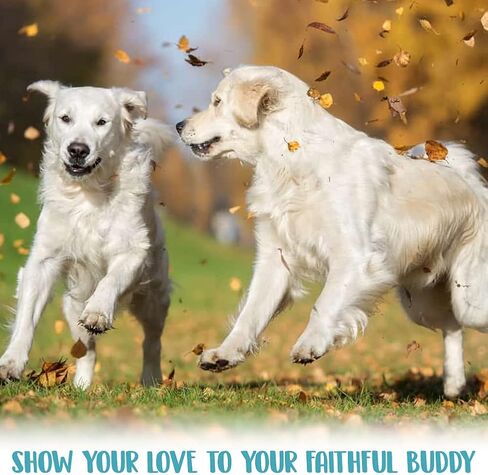 منظف أقدام الكلاب من ماستربتز، سهل الحمل والنقل مع منشفة وكوب غسيل قدم الحيوانات الأليفة 2 في 1 وفرشاة تنظيف لتنظيف أقدام الكلاب من السيليكون لتدليل الكلاب والقطط والجراء الكبيرة الحجم in Kuwait