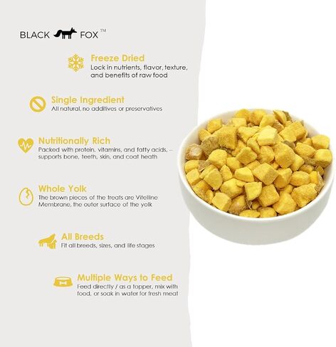 BLACK FOX Freeze-Dried Pump'ken Dog Treats | Cat Treats | 2oz Chicken Salmon Pumpkin, Raw, Healthy, All Natural, Human Grade, Digestion in Saudi Arabia
