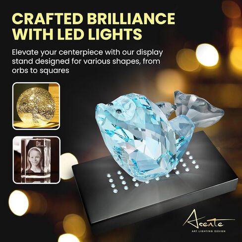 ASENTE 36 قاعدة مضاءة بإضاءة LED بيضاء لفن الزجاج - شاشة كريستال، قاعدة أكريليك مضاءة، مزهرية زجاجية للحامل المركزي، حامل قاعدة للحرف اليدوية والديكورات الأخرى، 4.5 فولت تيار متردد/USB، أسود غير لامع in Kuwait