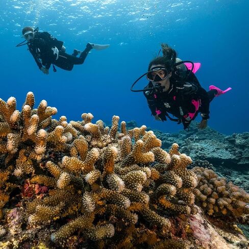 بدلة السباحة Everflex Steamer النسائية من ScubaPro مقاس 5/4 مم in Kuwait