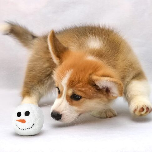 8 Pieces Pet Plush Beach Ball Dog Toy Beach Ball Indoor Ball Dog Toy Plush Stuffed Dog Toy Ball for Pets Indoor Outdoor Games (Snowball) in Saudi Arabia