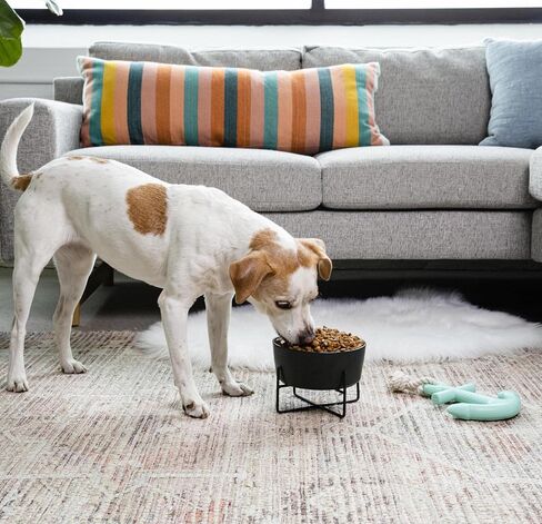 Waggo Simple Solid Dog Bowl and Dog Bowl Stand - Single Iron Stand with Single Ceramic Feeder or Water Bowl, Small or Large Dog Elevated Pet Feeder (Large, Matte Black) in Saudi Arabia