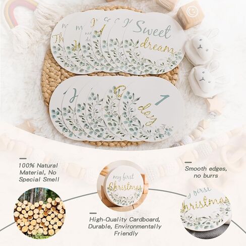 دعونا نصنع بطاقات معالم شهرية من بوهو بيبي مع علامة إعلان الحمل وهدايا استحمام الطفل علامة معالم شهرية محايدة للجنسين لحديثي الولادة لدعائم الصور 13 قطعة من أوراق الأوكالبتوس الخضراء in Kuwait