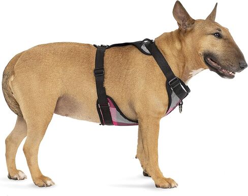 Canada Pooch No Pull Dog Harness Adjustable Dog Harness for Walking Dogs Seat Belt Harness, Front & Back D-Rings for Comfort & Control - Splatter/S in Kuwait