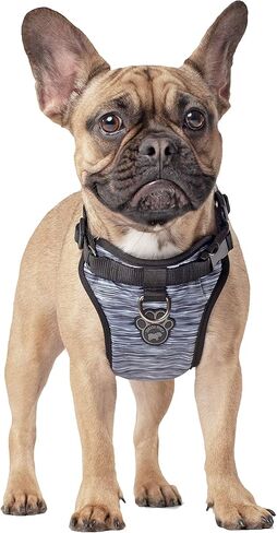 Canada Pooch No Pull Dog Harness Adjustable Dog Harness for Walking Dogs Seat Belt Harness, Front & Back D-Rings for Comfort & Control - Splatter/S in Kuwait