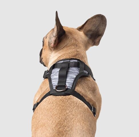Canada Pooch No Pull Dog Harness Adjustable Dog Harness for Walking Dogs Seat Belt Harness, Front & Back D-Rings for Comfort & Control - Splatter/S in Kuwait